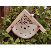Bug Box 2000 Insect Habitat